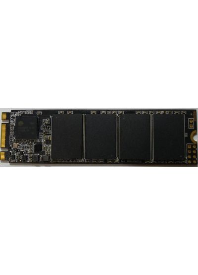 M.2 PCIe 2280 PRINCETON 1TB